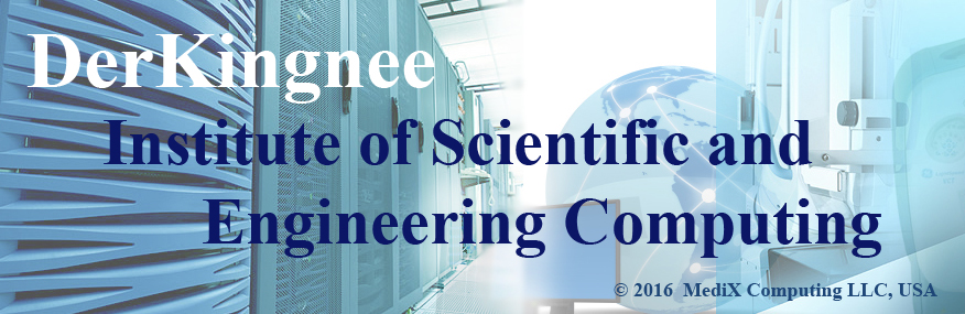 DerKingnee Institute of Computational Science and Engineering Heading